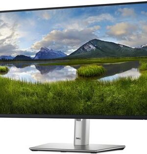 Ecran PC DELL 24 Pouces