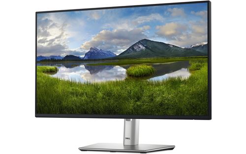 Ecran PC DELL 24 Pouces