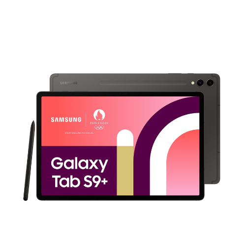 Galaxy Tab S9+ Stockage/RAM  256GB  de stockage. 12GB de RAM en standard (très fluide pour le multitâche).