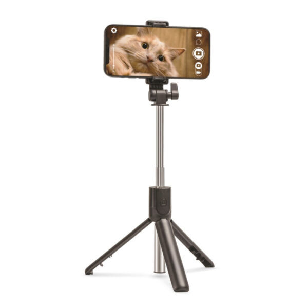 PERCHE-SELFIE-TELESCOPIQUE
