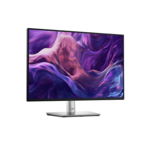Ecran Dell P2425H (24 pouces). Résolution : Full HD 1920 × 1080 pixels. Technologie IPS avec rétroéclairage LED.