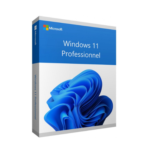 Windows 11 Professionnelle version orientée sécurité, contrôle et performance, idéale pour un usage professionnel ou avancé.