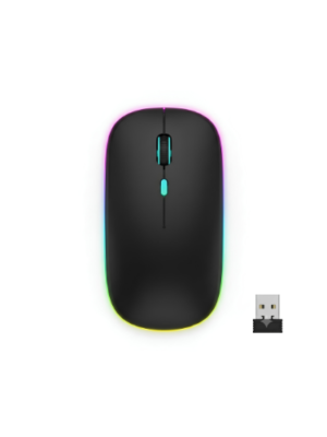Souris Rechargeable W10 | Souris Rechargeable | Souris sans fil | Autonomie jusqu’à 6 mois sur une charge complète