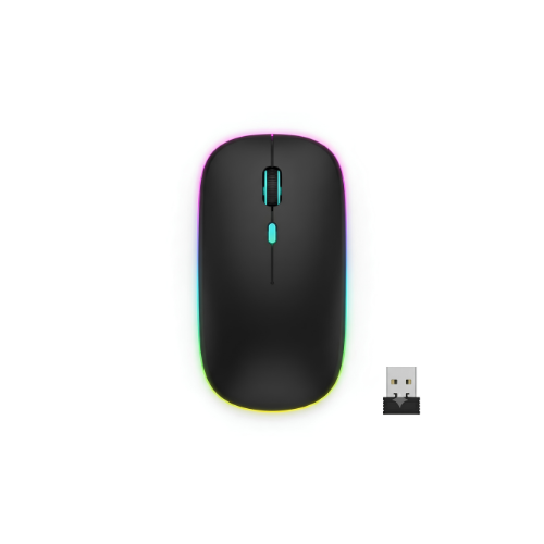 Souris Rechargeable W10 | Souris Rechargeable | Souris sans fil | Autonomie jusqu’à 6 mois sur une charge complète